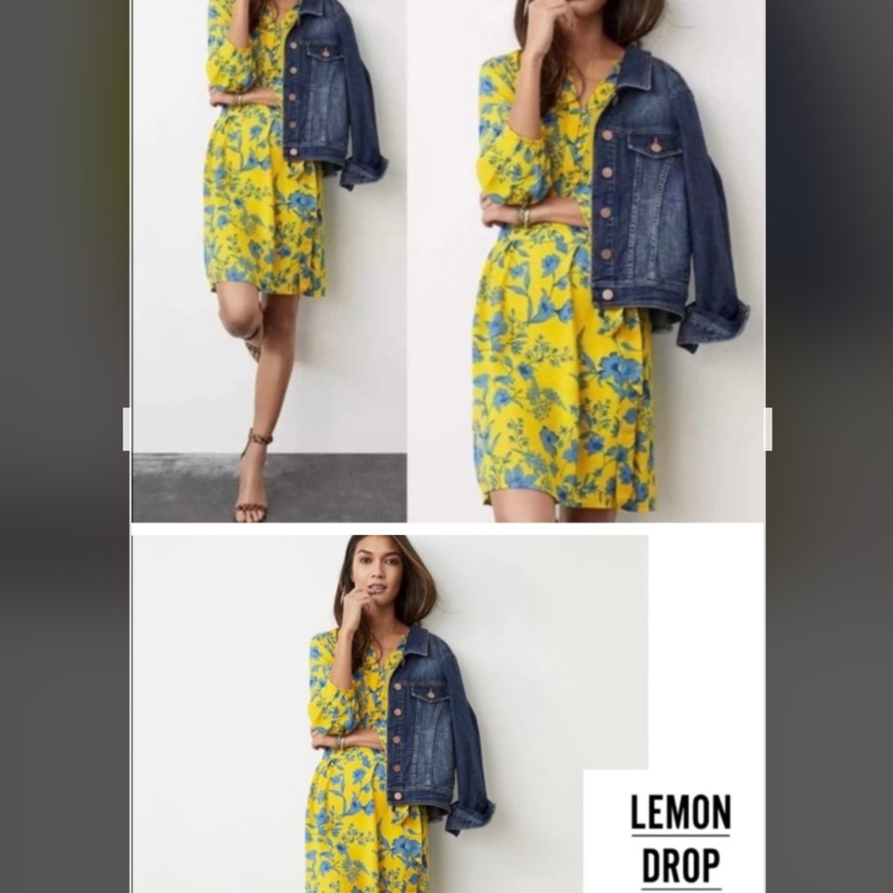Cabi Lemon Drop Floral Limited Edition Dress